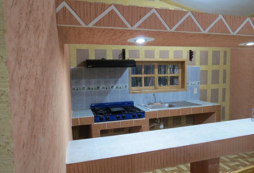 Viña Real Cabañas Rotamundos