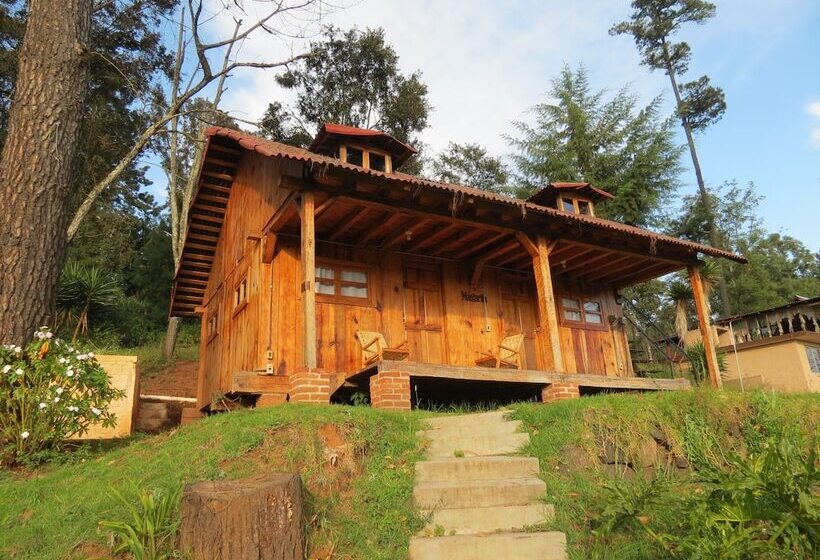 Viña Real Cabañas Rotamundos