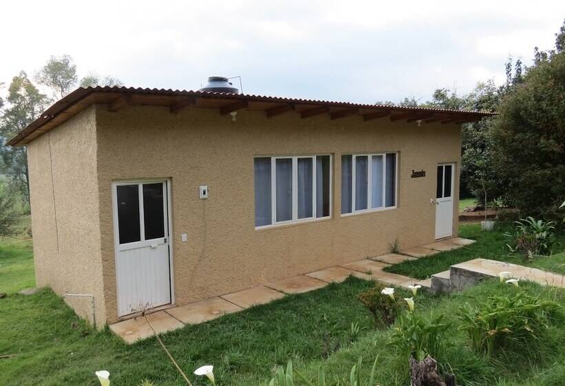 Viña Real Cabañas Rotamundos