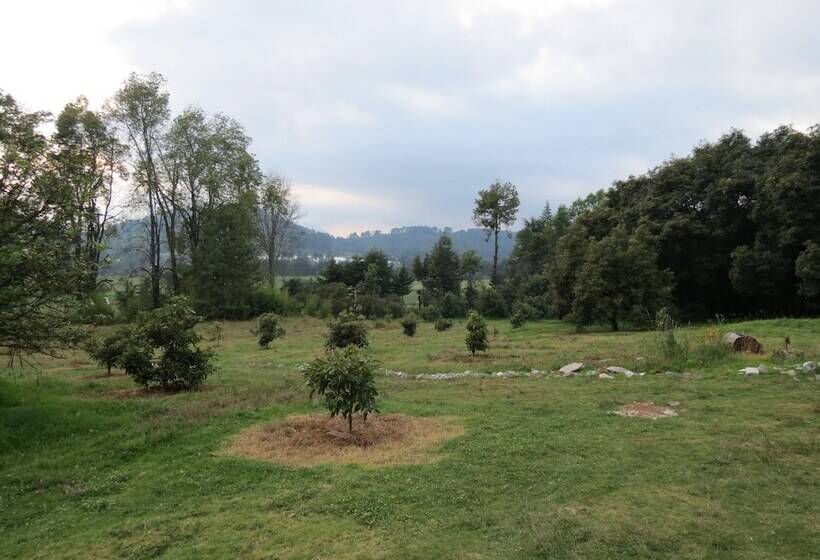 Viña Real Cabañas Rotamundos