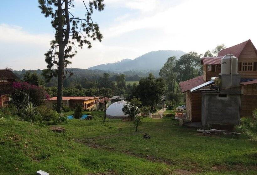 Viña Real Cabañas Rotamundos