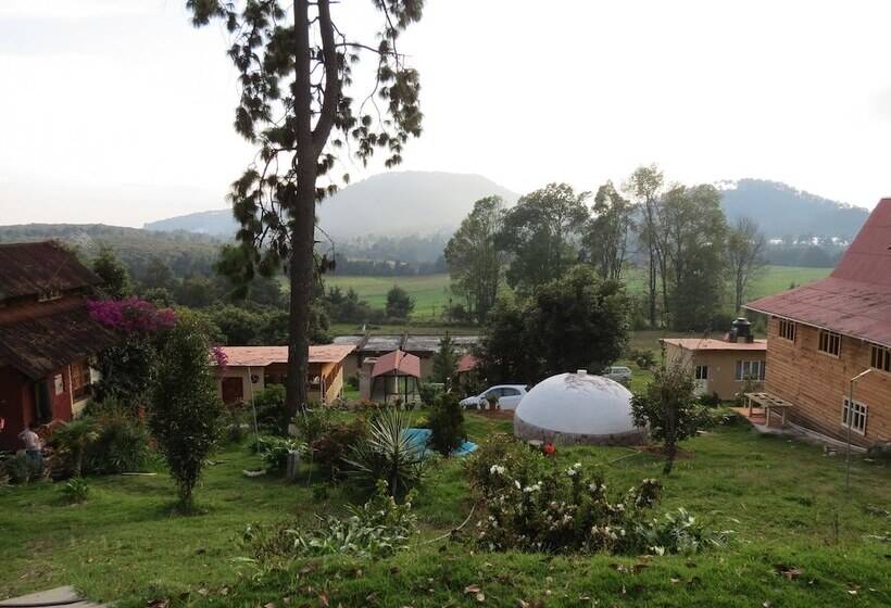 Viña Real Cabañas Rotamundos