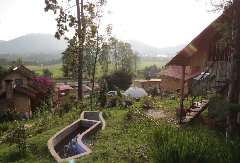 Viña Real Cabañas Rotamundos