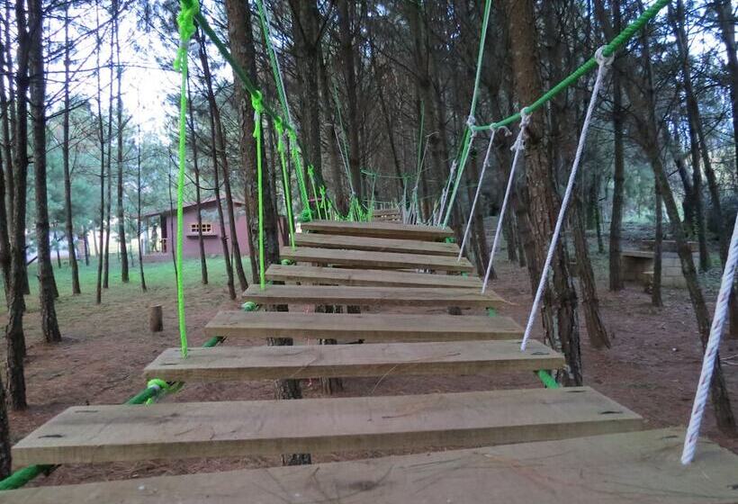 Viña Real Cabañas Rotamundos