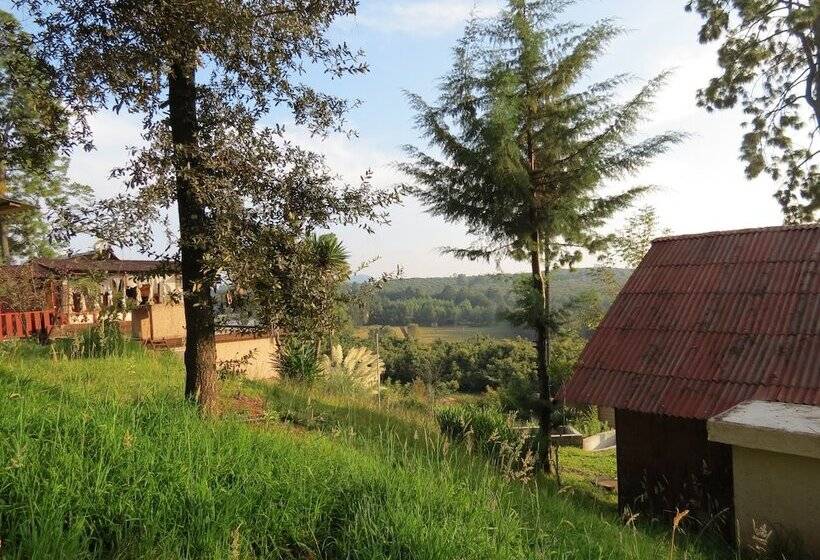 Viña Real Cabañas Rotamundos