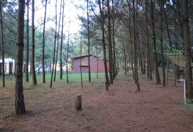 Viña Real Cabañas Rotamundos