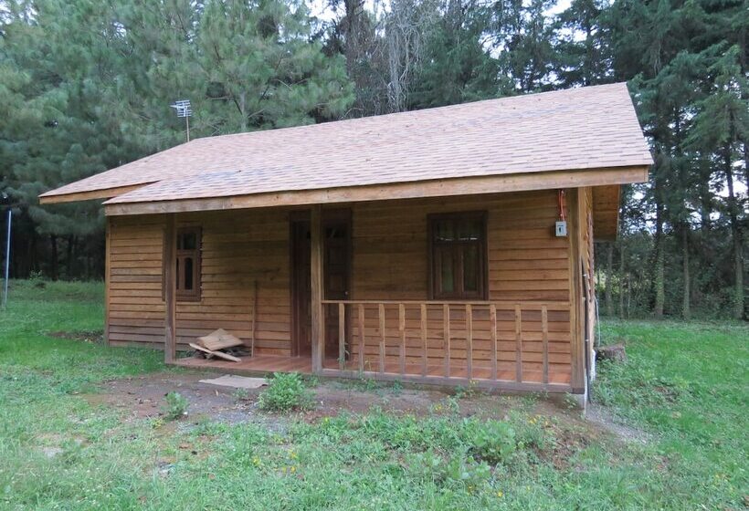 Viña Real Cabañas Rotamundos