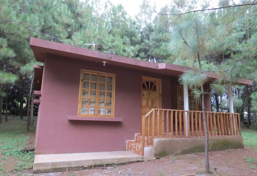 Viña Real Cabañas Rotamundos