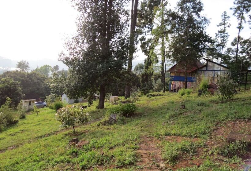 Viña Real Cabañas Rotamundos