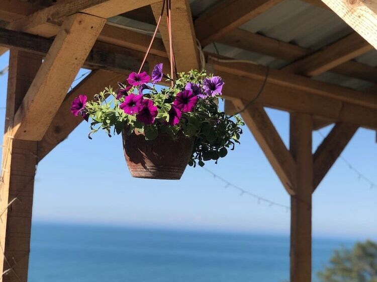 Yesil Vadi Apart Otel