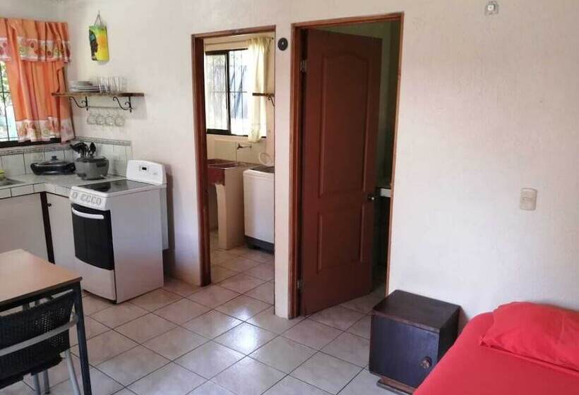 酒店 Cahuita Lodge