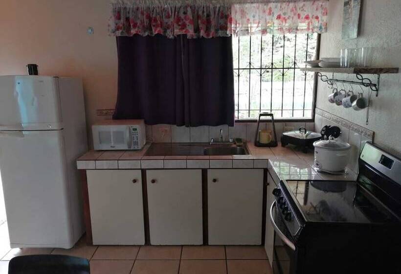 酒店 Cahuita Lodge