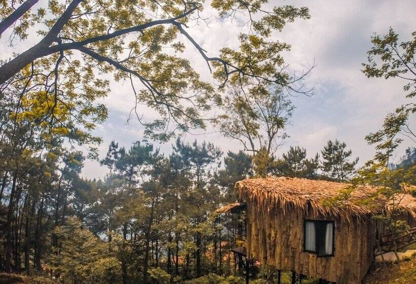 هتل Chillout Village Tam Dao