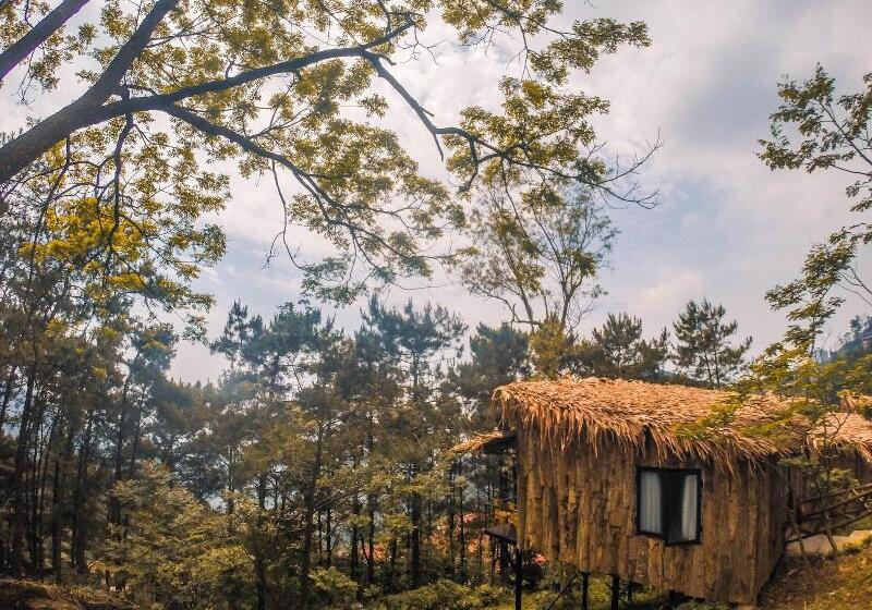 هتل Chillout Village Tam Dao