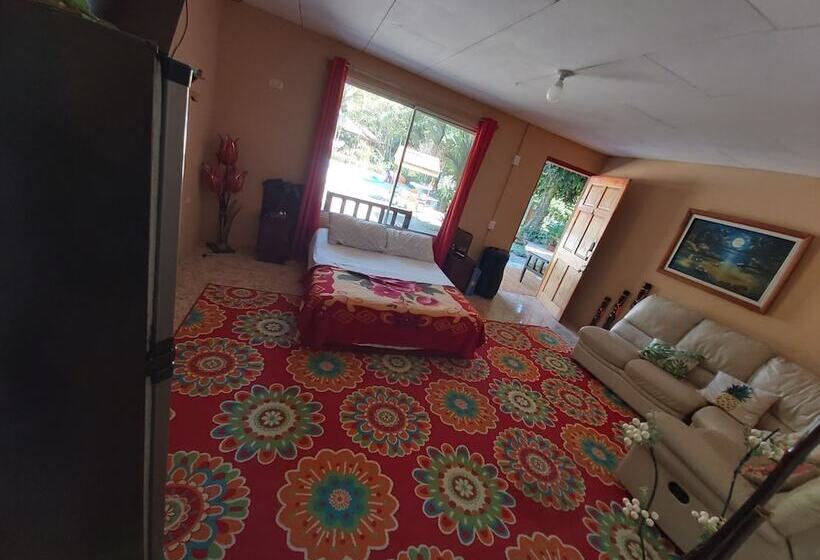 酒店 Costa Azul Lodge