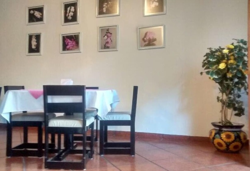 호텔 Juárez Del Centro