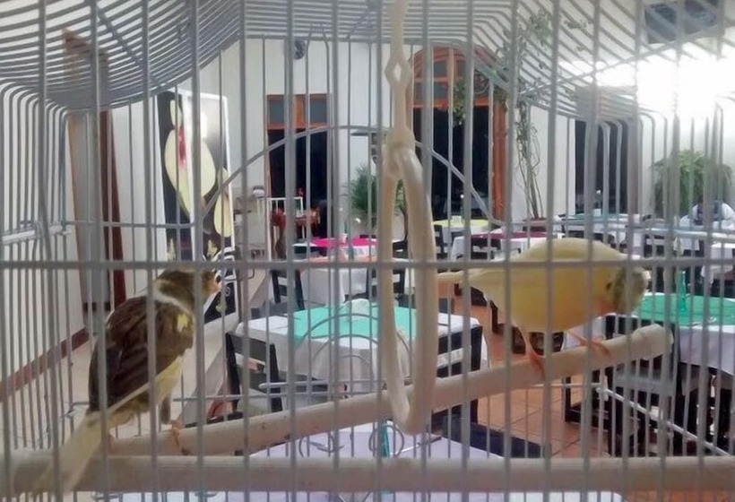 호텔 Juárez Del Centro