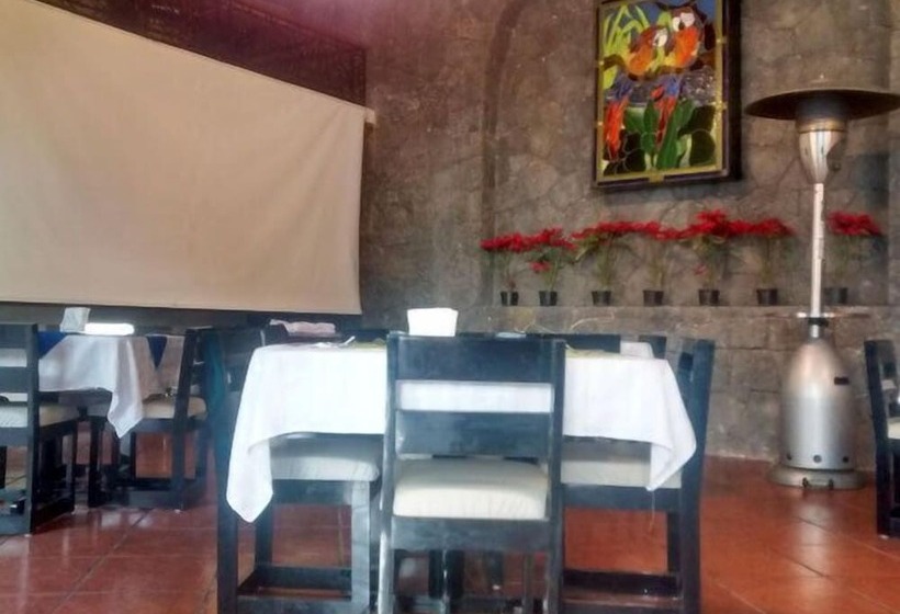 호텔 Juárez Del Centro