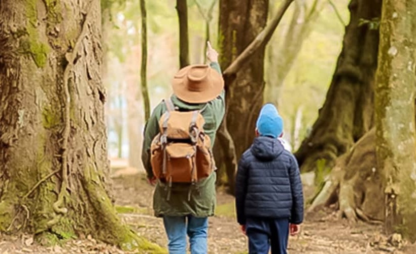 Отель Miike Camp Village