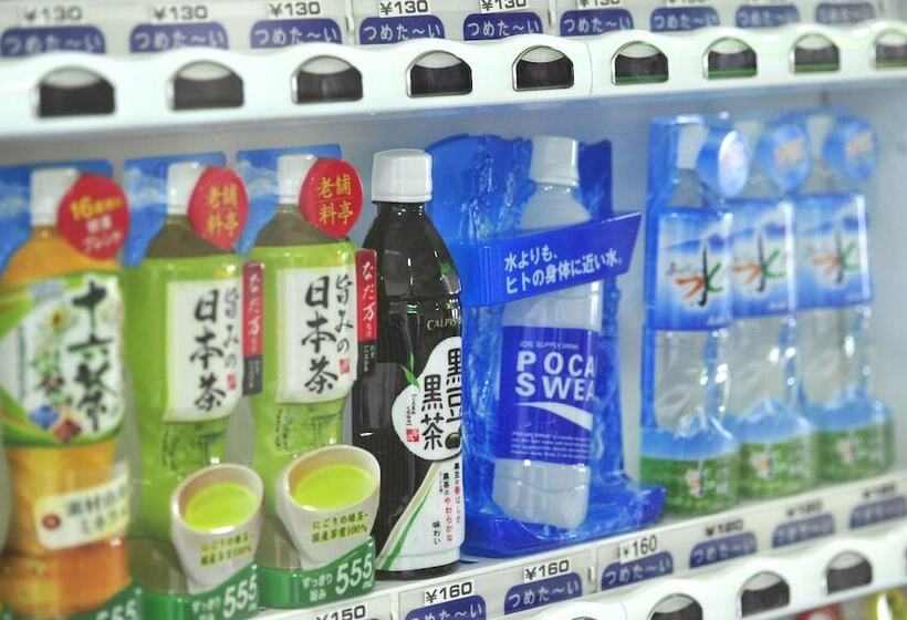 בית מלון כפרי Paco Obihiro Chuo