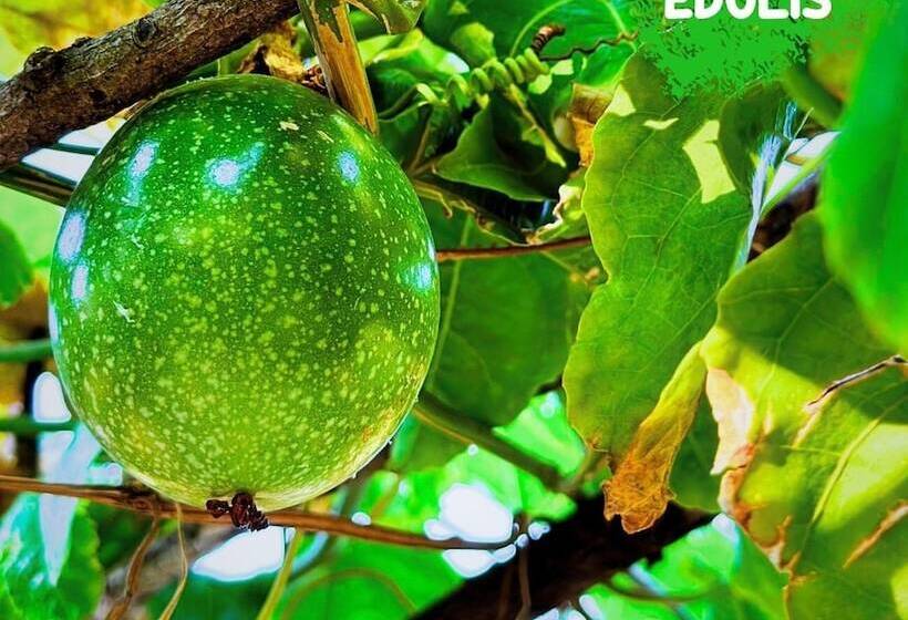 هتل Paradise Resort Doc Let