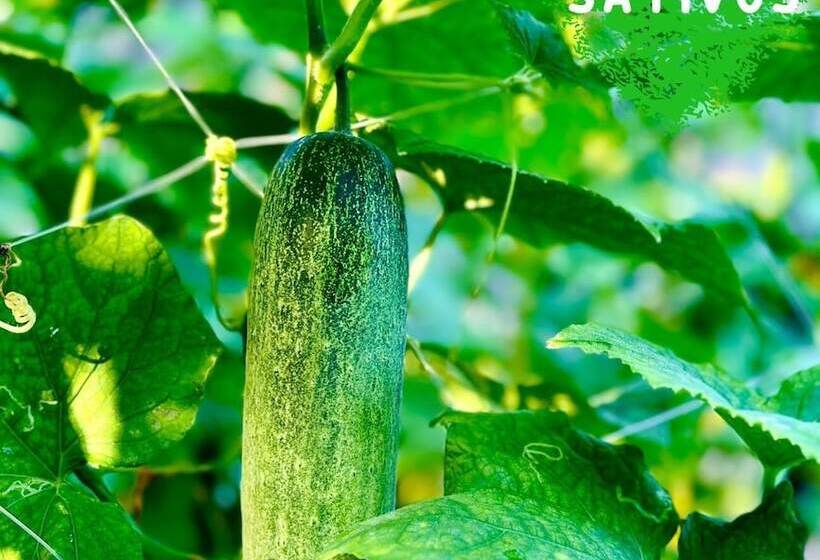 هتل Paradise Resort Doc Let