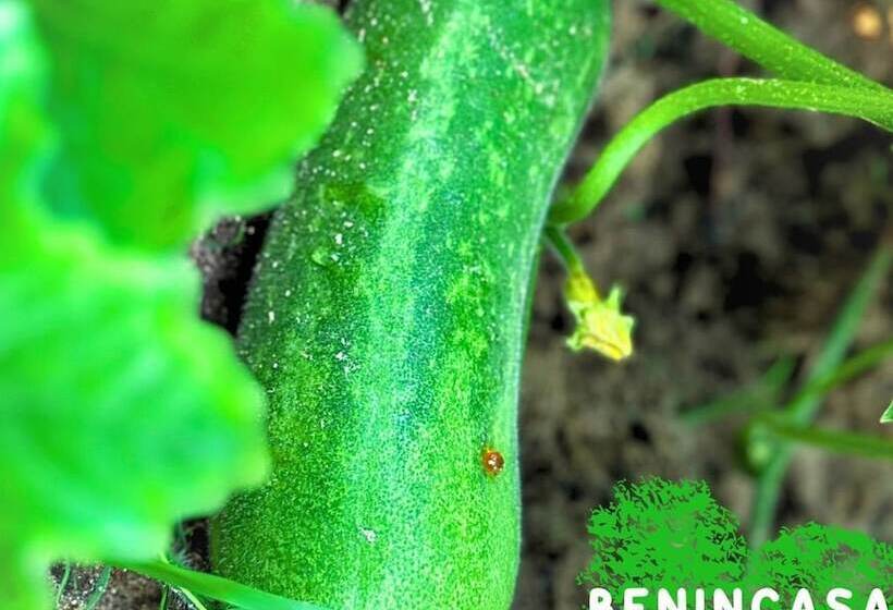 هتل Paradise Resort Doc Let