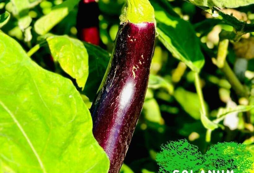 هتل Paradise Resort Doc Let