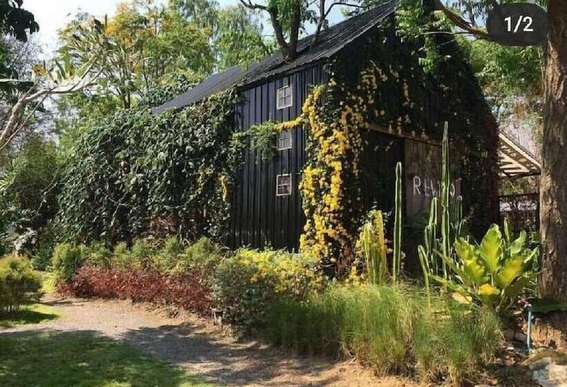 Hotel Rewild Camp And Cafe