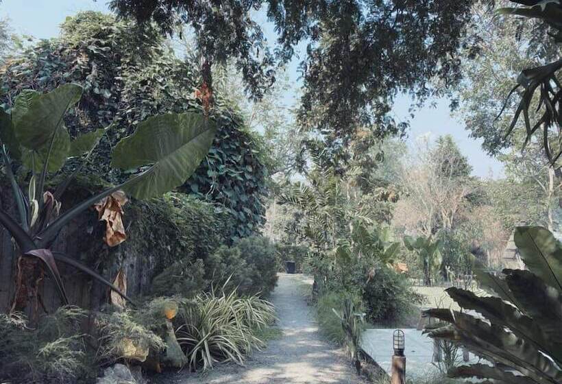 Hotel Rewild Camp And Cafe