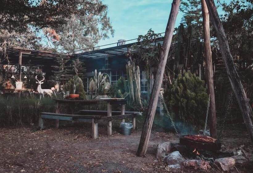 فندق Rewild Camp And Cafe