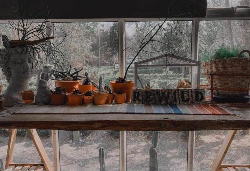 فندق Rewild Camp And Cafe