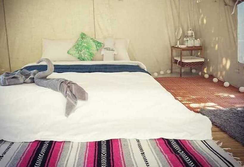 فندق Rewild Camp And Cafe