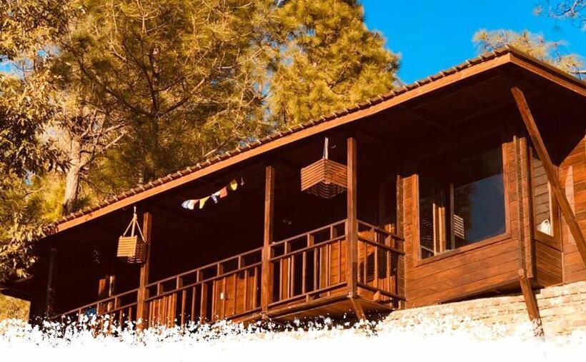 酒店 Sukoon Nature Retreat Near Bhatrojkhan Ranikhet