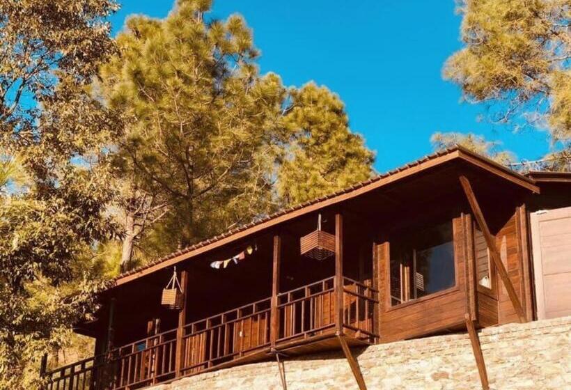 酒店 Sukoon Nature Retreat Near Bhatrojkhan Ranikhet