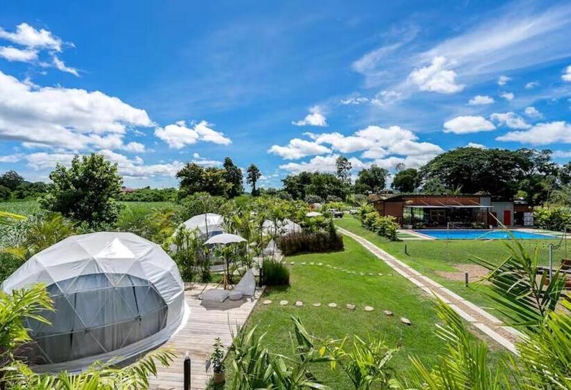 בית מלון כפרי The Campster Kanchanaburi