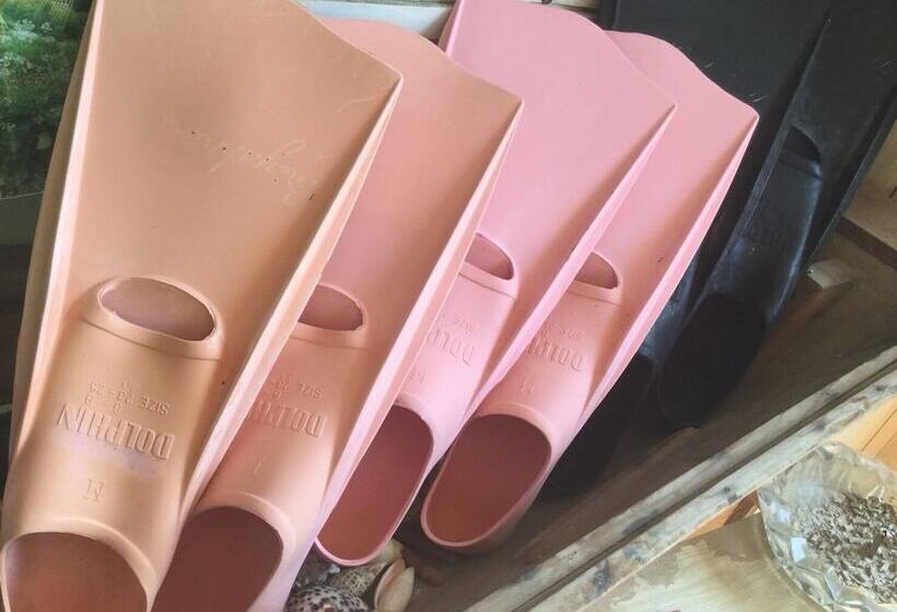 פנסיון Homestay Kucha