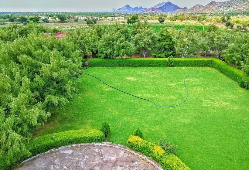 بنسيون Nurture By Madpackers