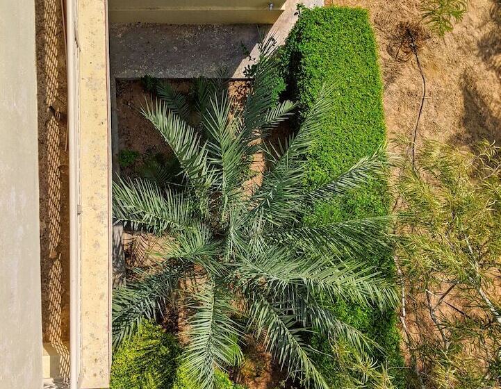 بنسيون Nurture By Madpackers