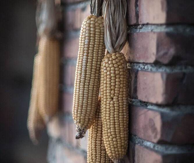 Agriturismo Beatilla