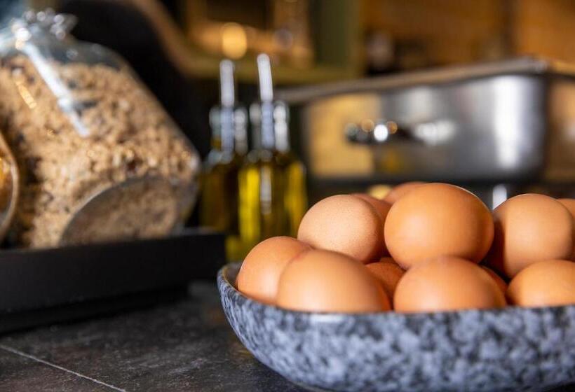 هاستل Tourist Inn One Amsterdam