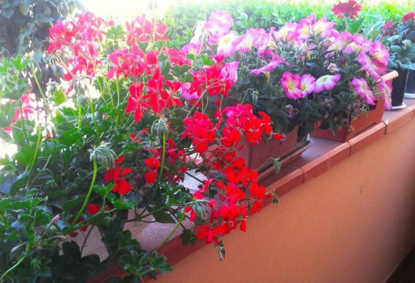 تختخواب و صبحانه A Casa Doina Airport 2