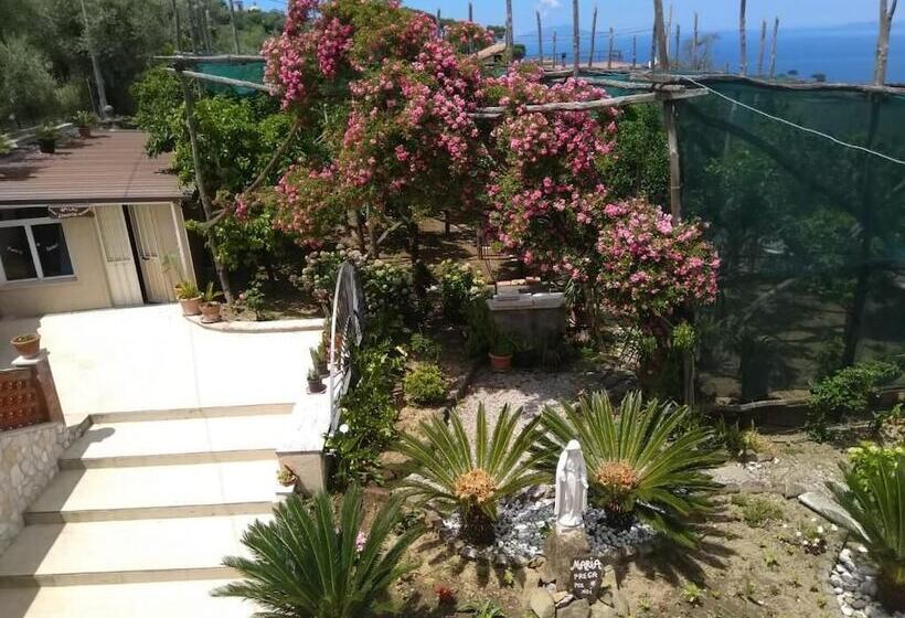 مبيت وإفطار Oasi Madre Della Pace