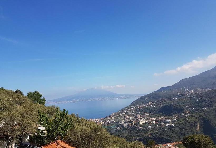 Bed And Breakfast Sunflower