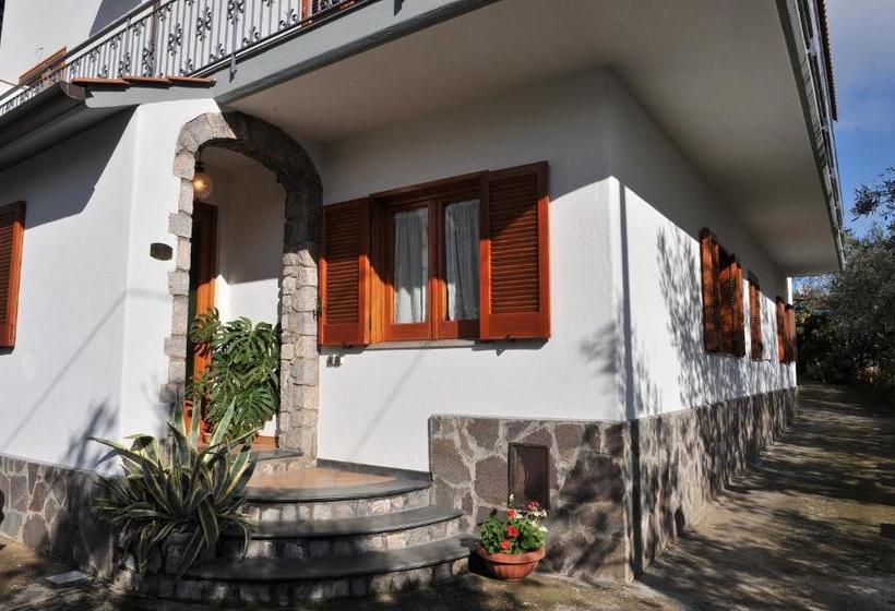 Bed And Breakfast Sunflower