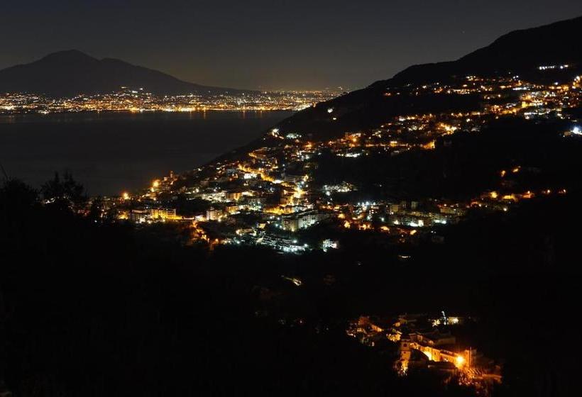 Bed And Breakfast Sunflower