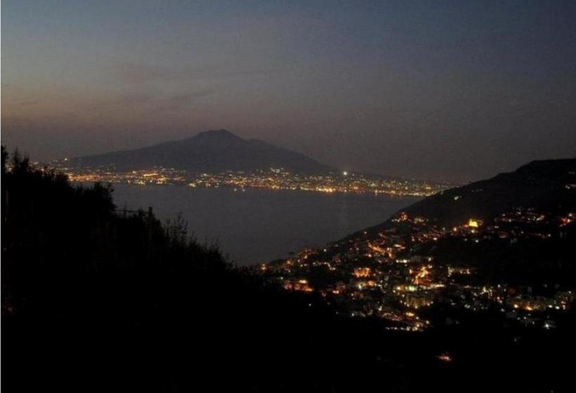 Bed And Breakfast Sunflower