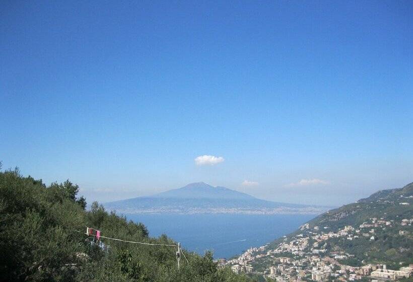 Bed And Breakfast Sunflower