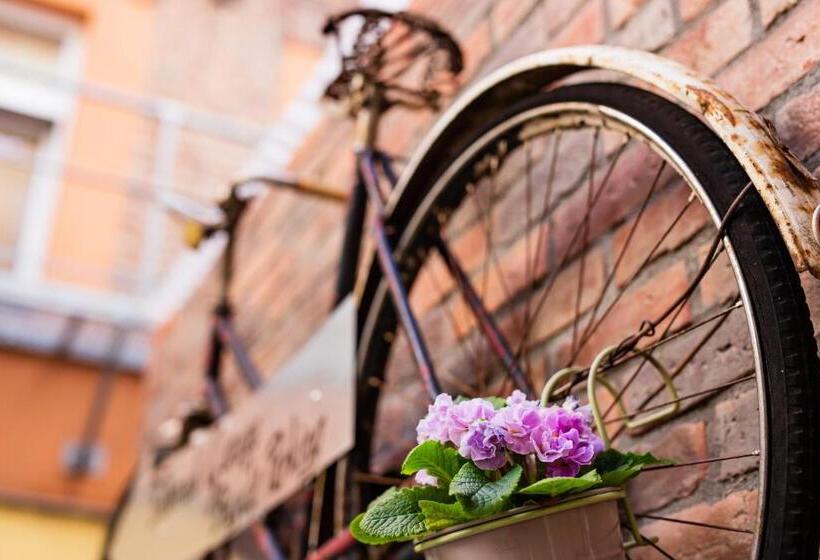 Do Step Inn Home   Hotel & Hostel