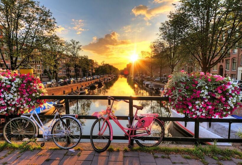 هاستل The Flying Pig Uptown